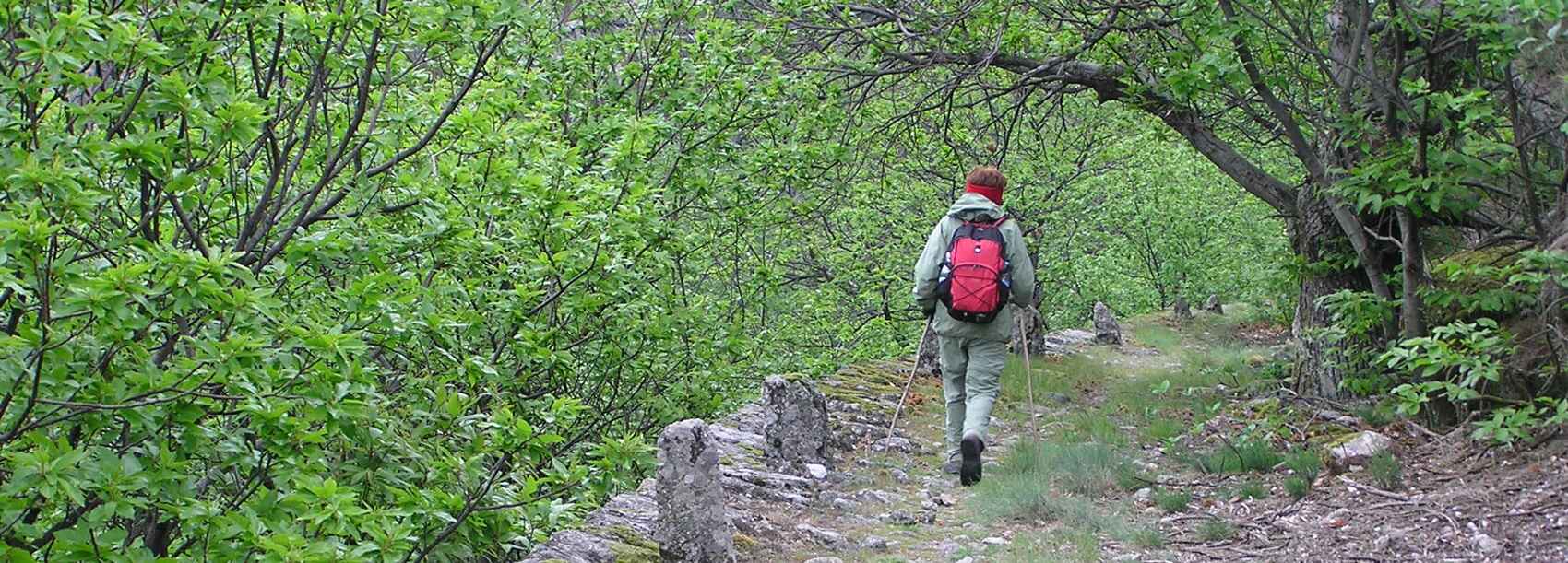 Pèlerinage sur le chemin de Saint Jacques de Compostelle