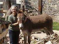 Beauregard (St Ours-les-Roches): Gîte d'étape et de séjour de Beauregard 5