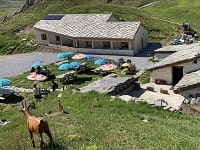 Termignon (Val Cenis): Refuge-L'auberge de Bellecombe 1