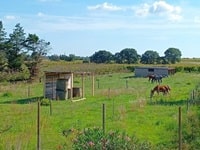 Haven of peace at the stables in Saint Gilles 1
