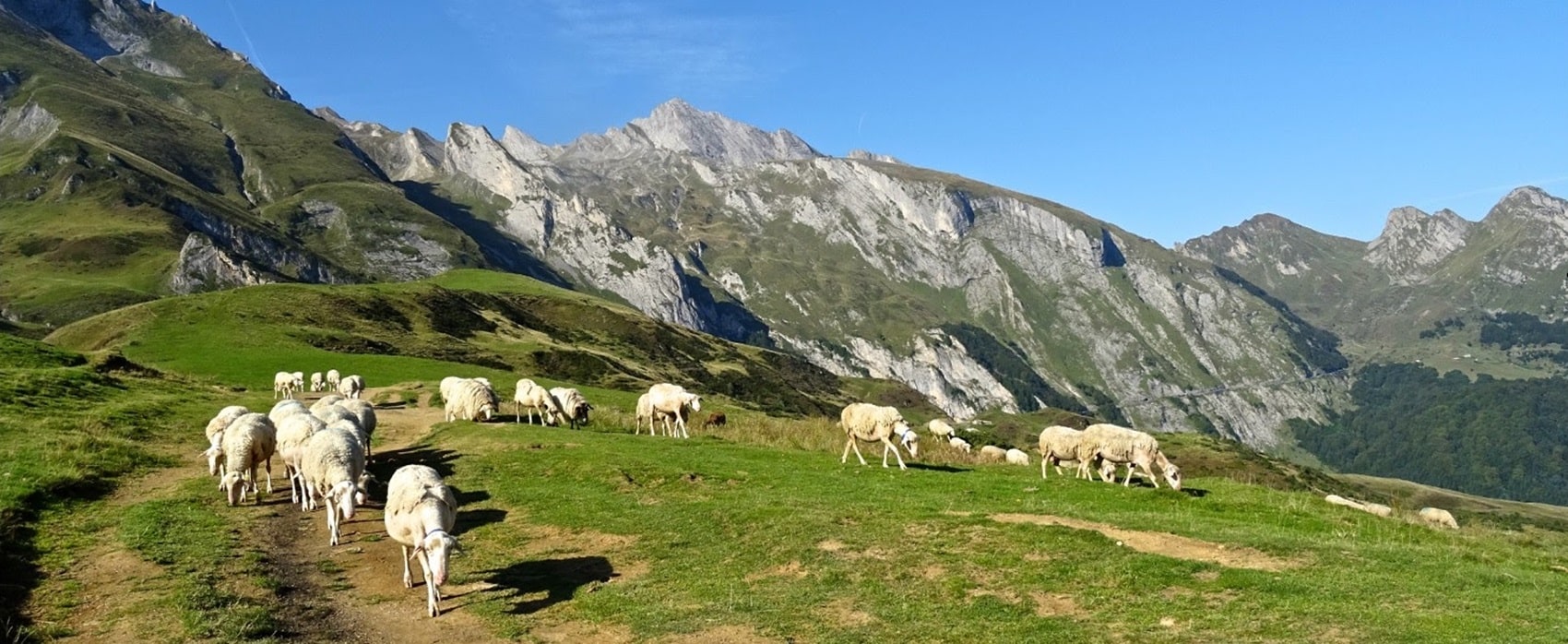 GR®101 De Nogaro (Gers) au Col de Saucède (Hautes-Pyrénées)