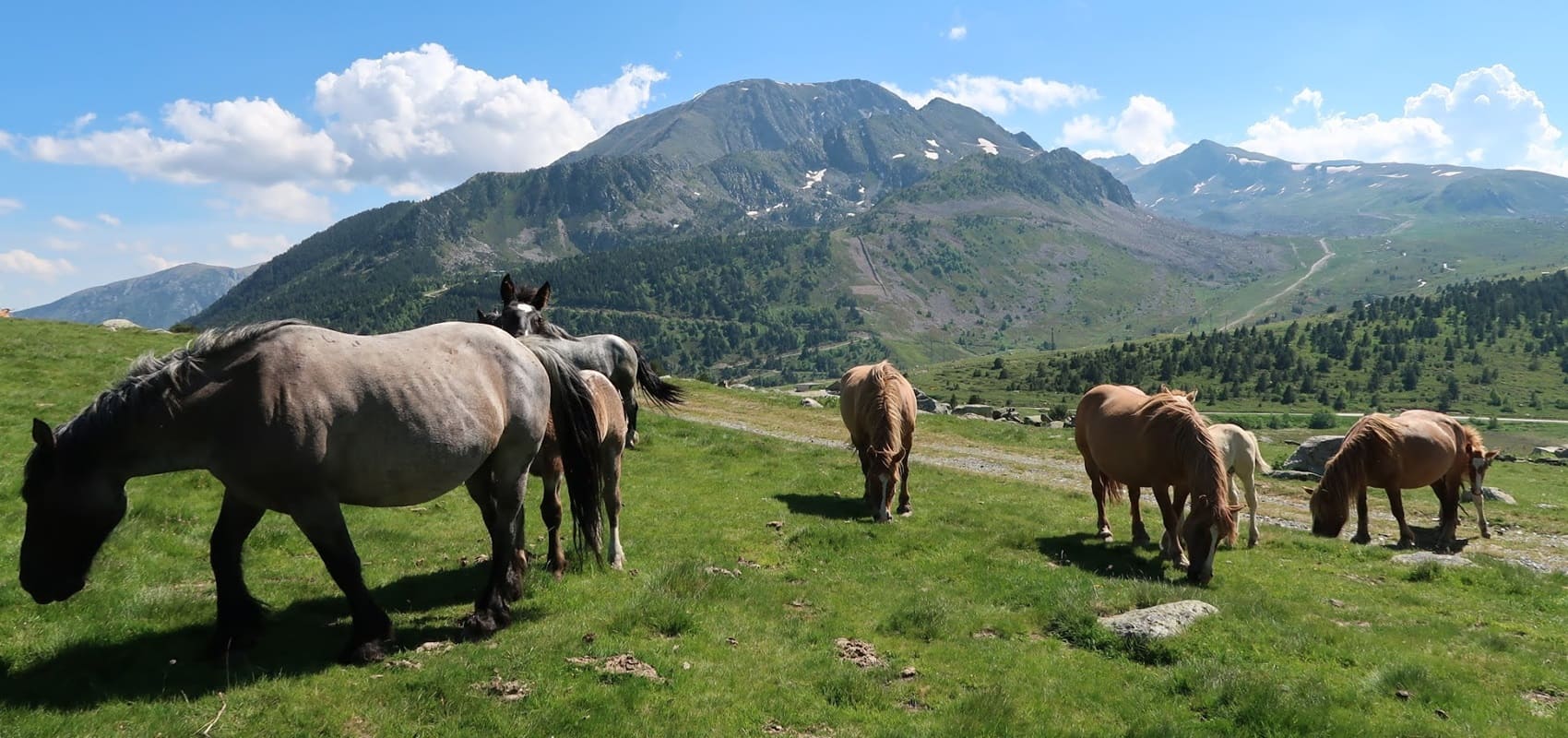GR®107 Bonshommes way (Ariege, Aude, Pyrenees Orientales)