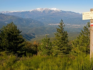 GR10 Randonnée de Batère à Banyuls-sur-Mer (Pyrénées-Orientales) 5