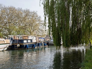 Hiking on the GR®113 from Provins (Seine-et-Marne) to Auxerre (Yonne) 6