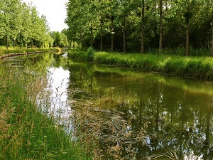 GR11 Walking from Senlis (Oise) to Signy-Signets (Seine-et-Marne) 4