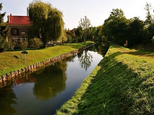 GR11 Walking from Senlis (Oise) to Signy-Signets (Seine-et-Marne) 5