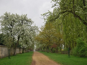 GR11 Walking from Mondeville (Essonne) to Flexanville (Yvelines) 6