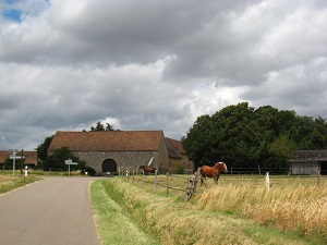 GR11 Walking from Flexanville (Yvelines) to Senlis (Oise) 3