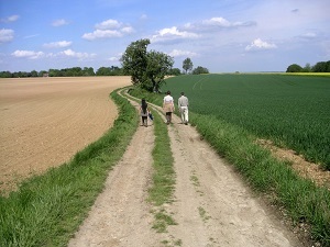 GR11 Walking from Flexanville (Yvelines) to Senlis (Oise) 6