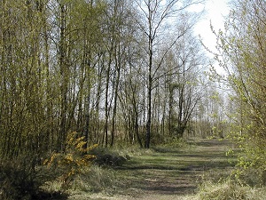 GR®121 Walking from Bon-Secours (Belgique) to Arras (Pas-de-Calais) 5