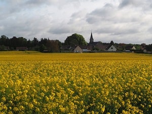 GR122 Walking from Bon-Secours (Belgium) to Son (Ardennes) 6