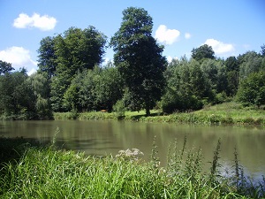 GR122 Walking from Bon-Secours (Belgium) to Hannapes (Aisne) 5