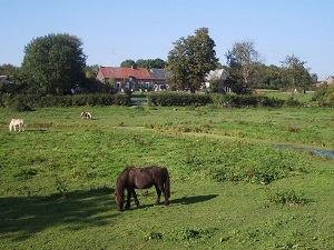 GR122 Walking from Bon-Secours (Belgium) to Hannapes (Aisne) 6