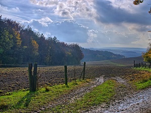 GR124 Walking from Cires-les-Mello (Oise) to Rebreuviette (Pas-de-Calais)