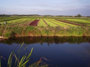 GR128 Hiking from Wissant (Pas-de-Calais) to Bailleul (Nord) 6