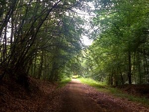 GR12 Hiking from Vic-sur-Aisne (Aisne) to Commelles ponds (Oise) 3