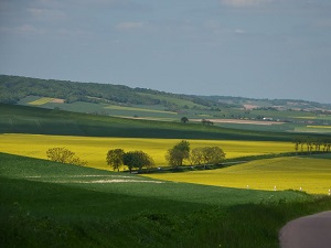 GR13 Hiking from Gatinais (Seine-et-Marne) to Morvan (Saone-et-Loire) 4