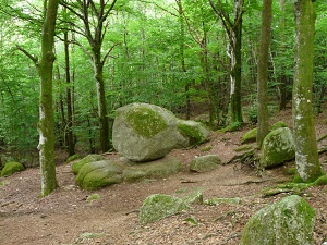 GR131 Randonnée de Mont-Beuvray (Morvan) à Issy-l'Evêque (Saône-et-Loire) 5