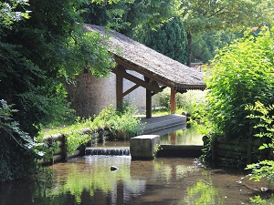 GR13 Randonnée de Bois-le-Roi (Seine-et-Marne) à Saint-Maurice-sur-Aveyron (Loiret) 5