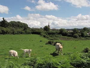 GR13 Hiking from Saint-Pere (Yonne) to Glux-en-Glenne (Nievre) 4