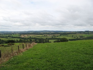 GR13 Hiking from Glux-en-Glenne (Nievre) to Signal-de-Mont (Saone-et-Loire) 5