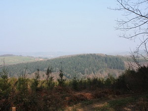 GR13 Randonnée de Glux-en-Glenne (Nièvre) à Signal-de-Mont (Saône-et-Loire) 7