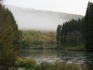 GR14 Hiking on the Ardennes trail 3