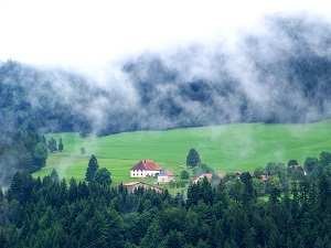 Via Francigena 7