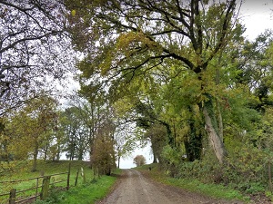 GR145 Via Francigena. Randonnée de Thérouanne à Arras (Pas-de-Calais) 5