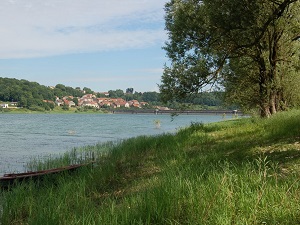 GR145 Via Francigena. Randonnée de Châteauvillain à Coublanc (Haute-Marne) 4