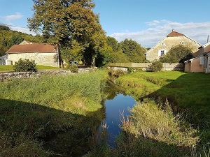 GR145 Via Francigena. Randonnée de Châteauvillain à Coublanc (Haute-Marne) 7