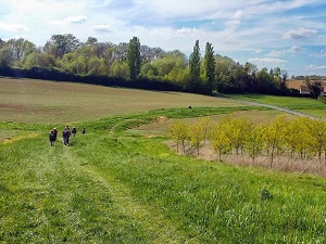 GR®14A Randonnée de Vincennes (Val-de-Marne) à Nogent-l'Artaud (Aisne) 5