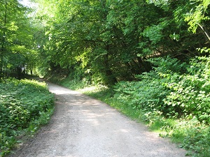 GR14 Walking from Vitry-en-Perthois (Marne) to Varennes-en-Argonne (Meuse) 7