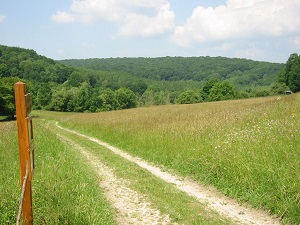 GR14 Walking from Varennes-en-Argonne (Meuse) to Corbion (Belgium) 3