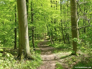 GR1 Walking from Porte Maillot (Paris) to Nesles-la-Vallee (Val-d'Oise) 5