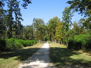 GR1 Walking from Rambouillet to Feucherolles (Yvelines) 3