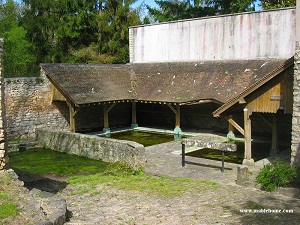 GR1 Walking from Rambouillet to Feucherolles (Yvelines) 6