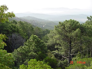 GR20 Traversée de la Corse 7