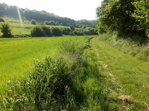 GR21 Hiking from Le Havre to Veulettes-sur-Mer (Seine-Maritime) 6