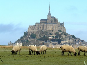 GR22 Mont Saint-Michel trail. Walking from Paris (Ile de France) to Mont-Saint-Michel (Manche) 7