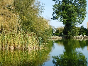 GR222 Randonnée de Pîtres à Verneuil d'Avre et d'Iton (Eure) 3