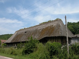 GR223 Randonnée de Honfleur à Ver-sur-Mer (Calvados) 3