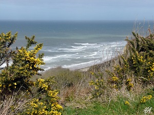 GR223 Hiking from Ver-sur-Mer (Calvados) to Carentan (Manche) 6