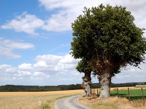 GR22 Walking from Richebourg (Yvelines) to Verneuil d'Avre et d'Iton (Eure) 5