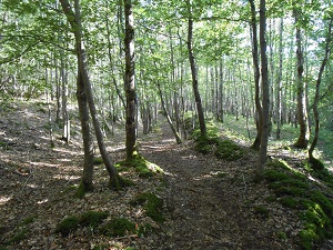 GR235 Hiking from La Touzeliere to La Vallee de la Flotte (Sarthe) 7