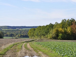 GR26 Walking from Villennes-sur-Seine (Yvelines) to Douains (Eure) 6