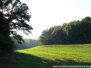 GR26 Walking from Douains to Bernay (Eure) 4