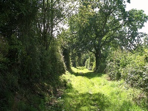 GR26 Walking from Bernay (Eure) to Villers-sur-Mer (Calvados) 4