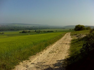 GR2 Walking from Gommecourt (Yvelines) to St Pierre-de-Manneville (Seine-Maritime) 3