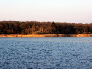 GR303 Randonnée de Néris-les-Bains à Montcombroux-les-Mines (Allier) 4